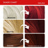 Paradyes Rubra Red Semi-Permanent Hair Color